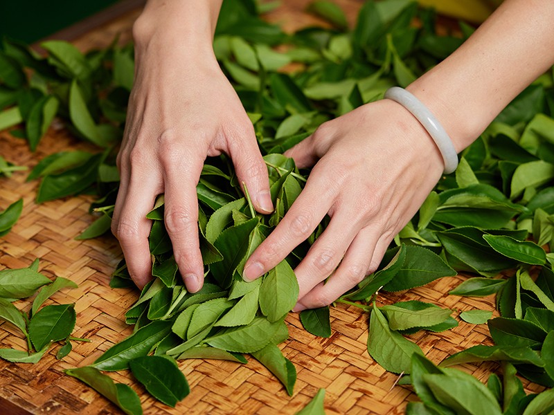 手感紅茶DIY(請電洽049-2583126)活動圖片